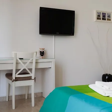 Papillon Bnb-3